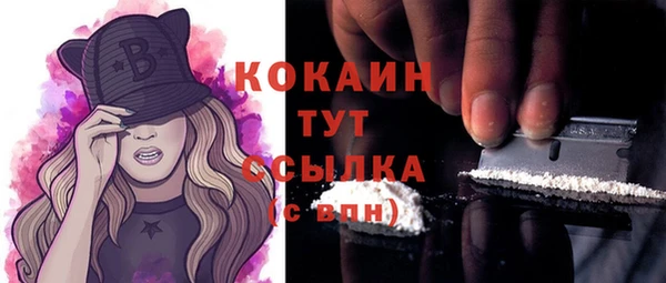 индика Аркадак