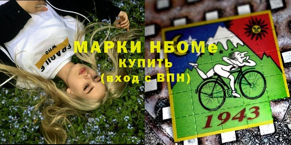 индика Аркадак