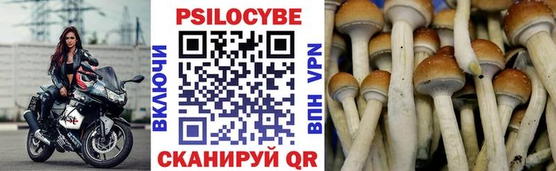 хочу наркоту  Борисоглебск  omg ТОР  Галлюциногенные грибы Psilocybe 
