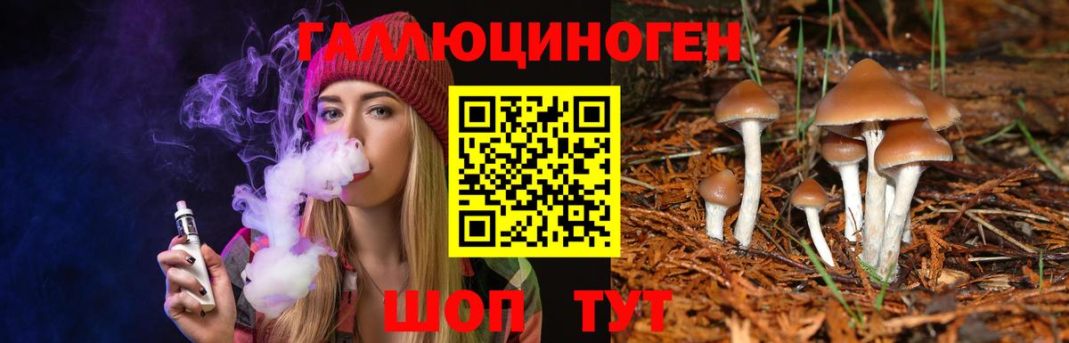 Галлюциногенные грибы Psilocybe Борисоглебск